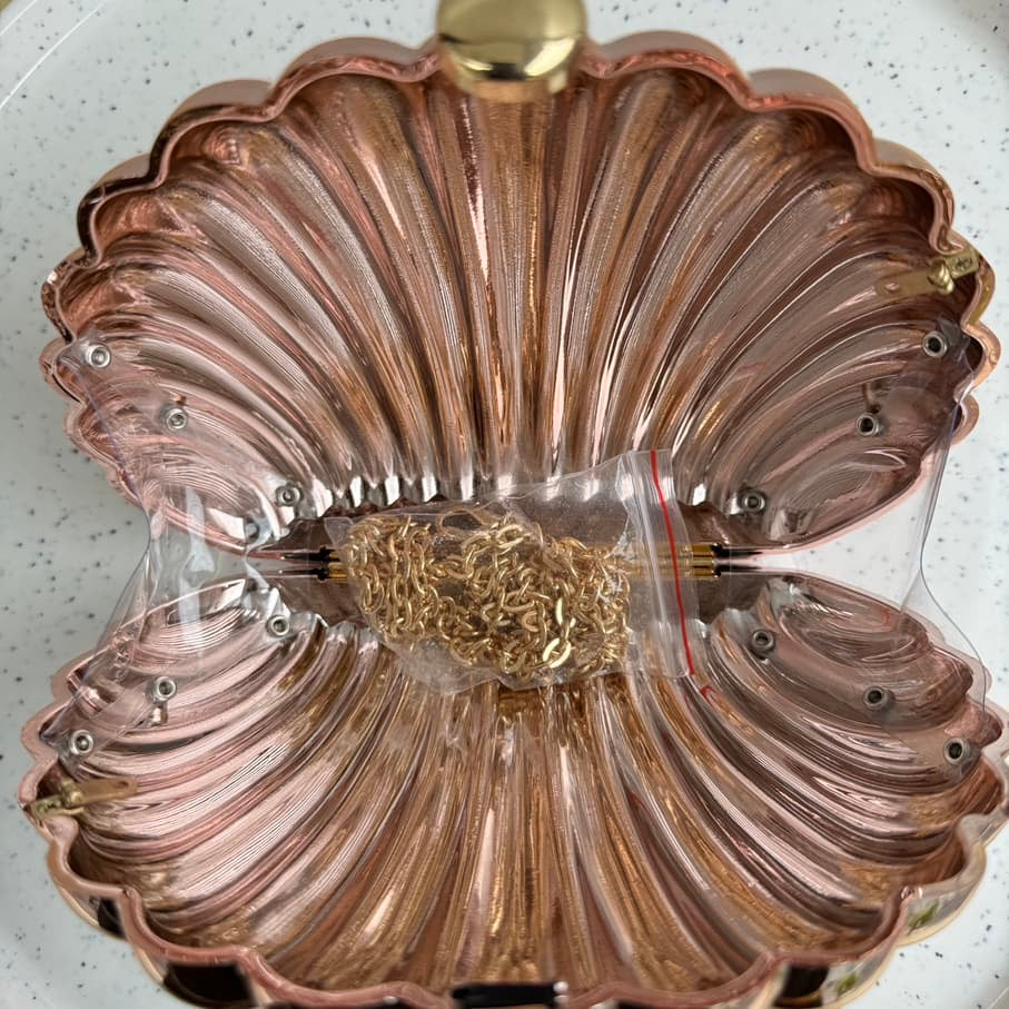 Shell Acrylic Metallic Party Clutch Purse