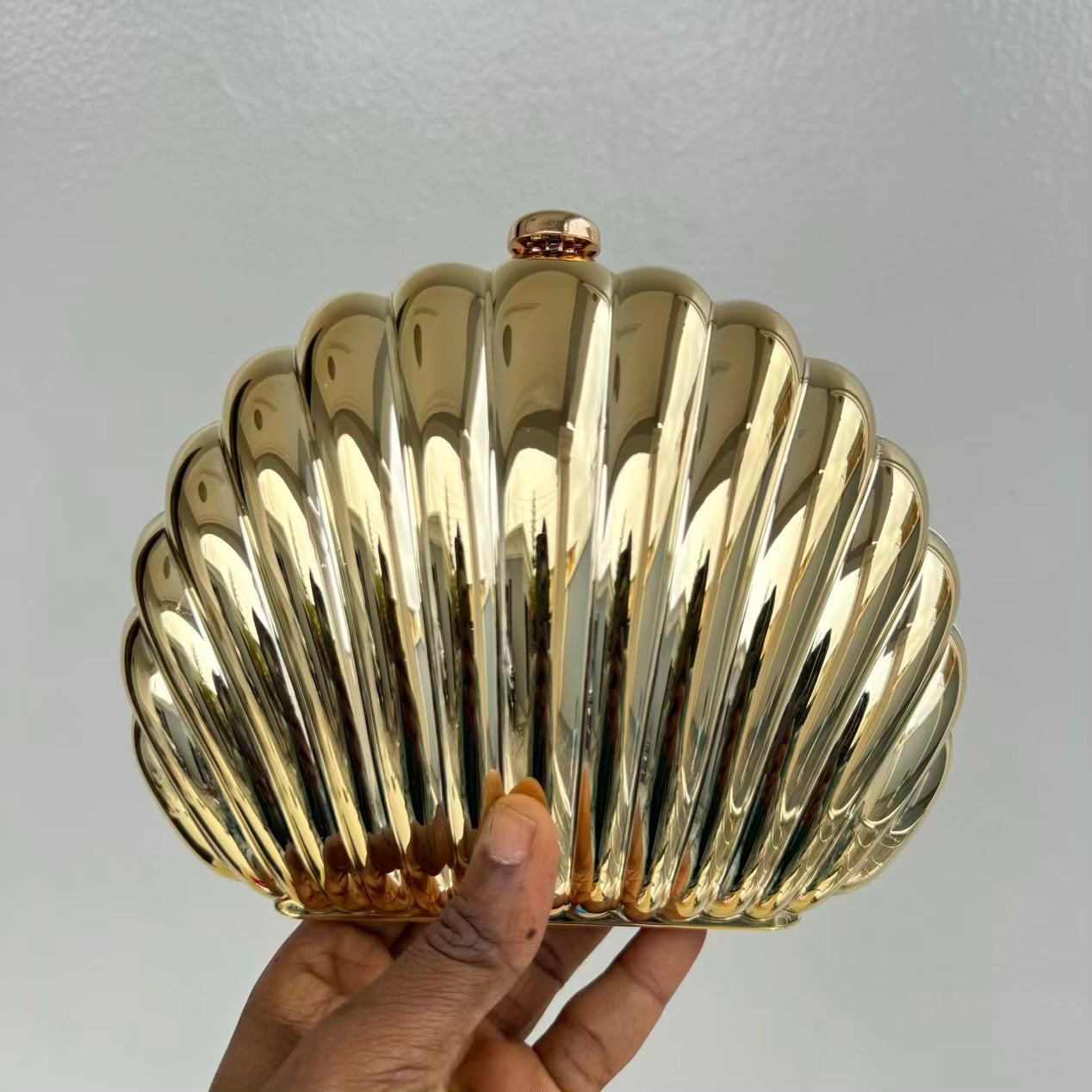 Shell Acrylic Metallic Party Clutch Purse