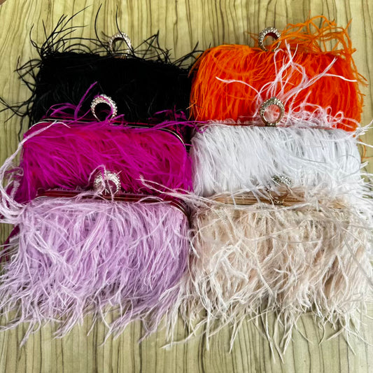 Feather Clutch Purse