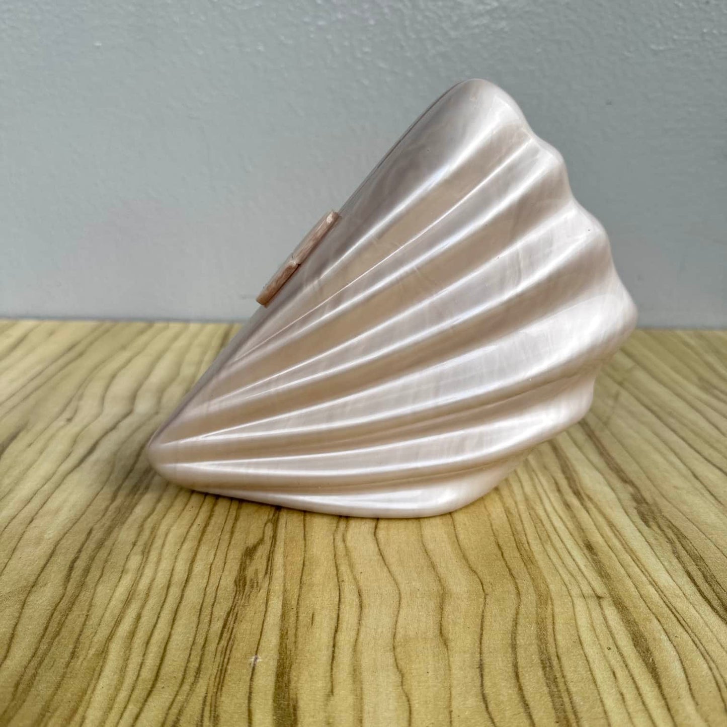 Shell Design Metallic Acrylic Clutch Purse
