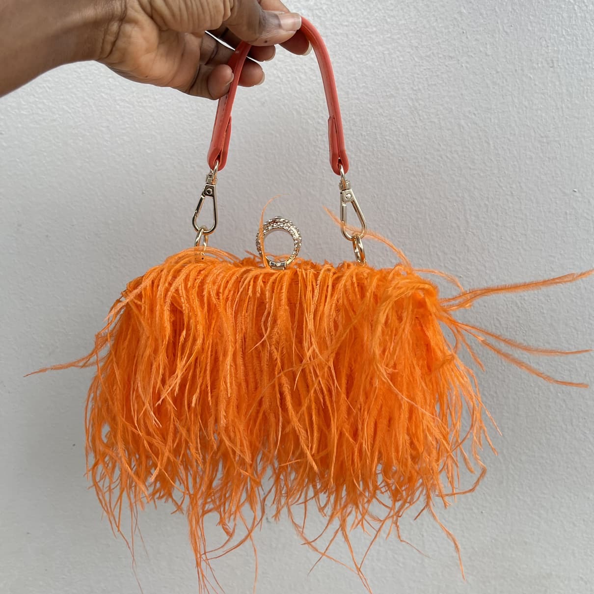 Feather Clutch Purse