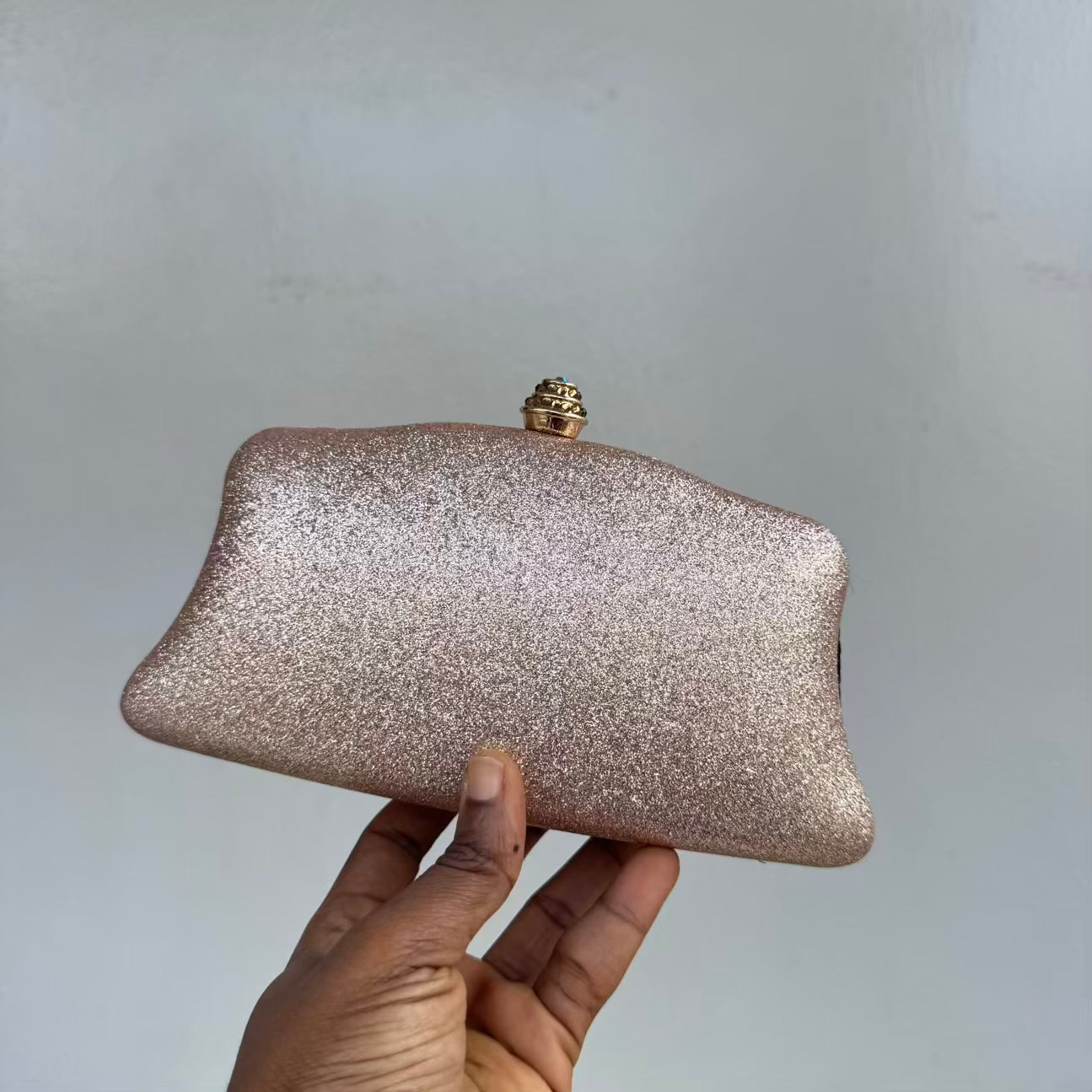 Shimmery Small Clutch Purse
