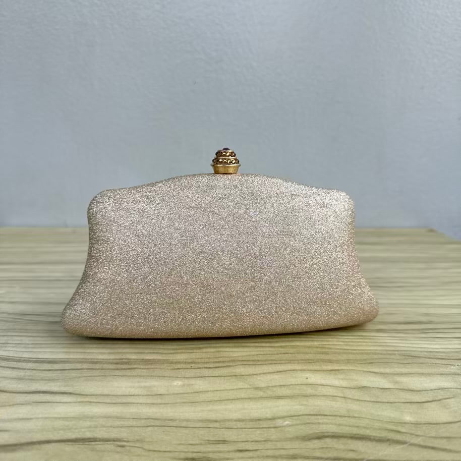 Shimmery Small Clutch Purse