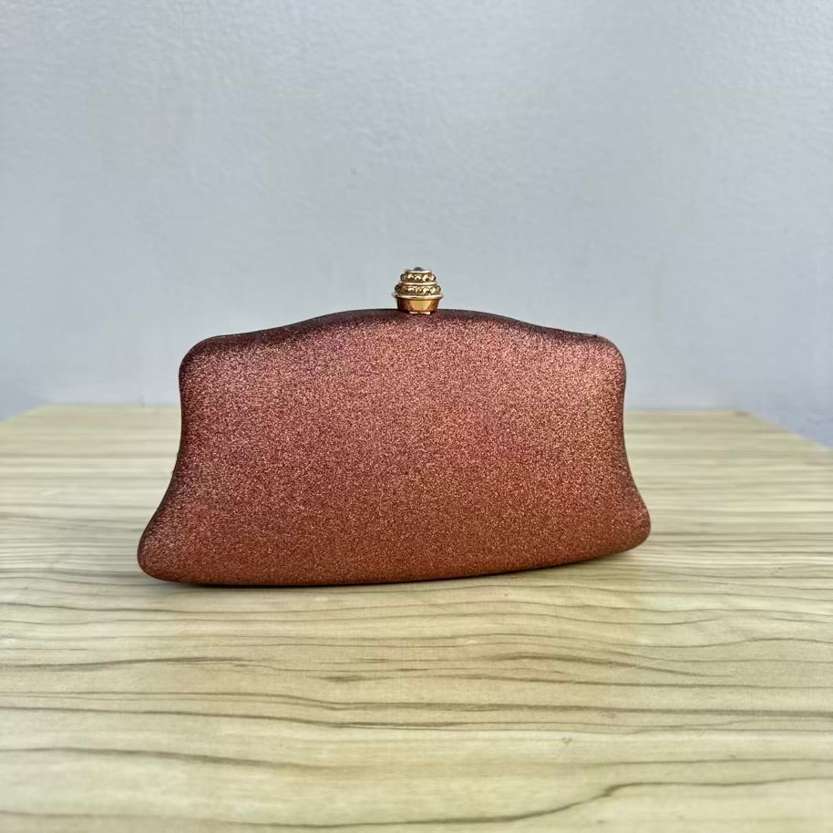 Shimmery Small Clutch Purse