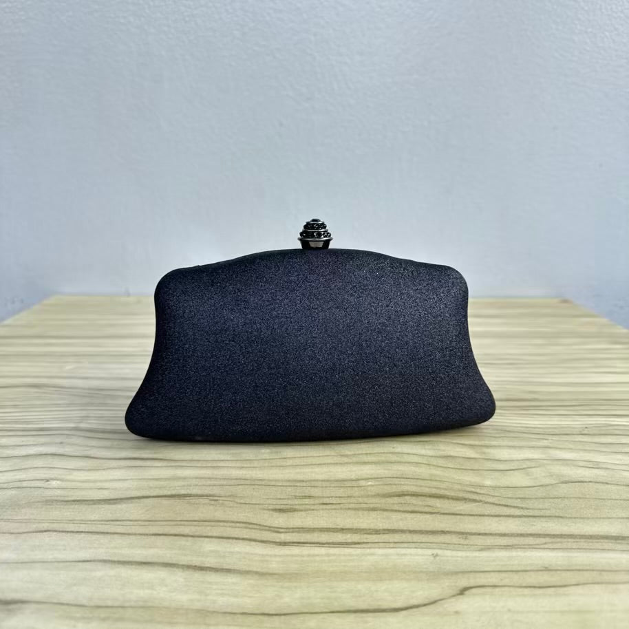 Shimmery Small Clutch Purse