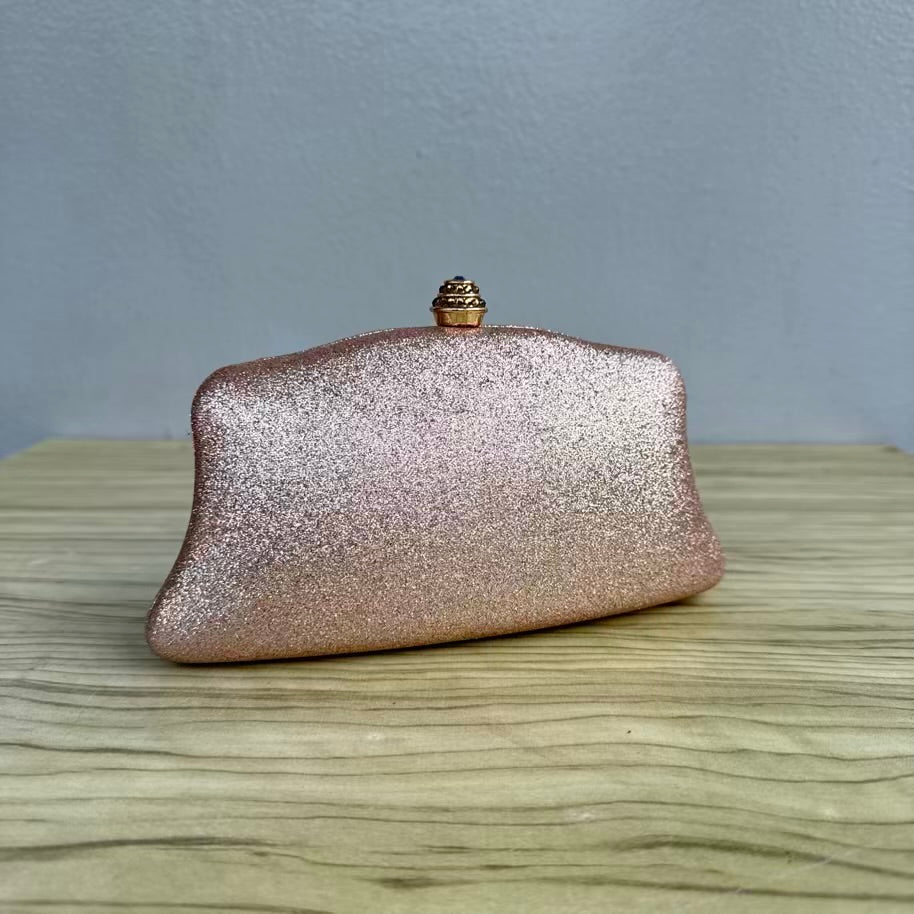 Shimmery Small Clutch Purse