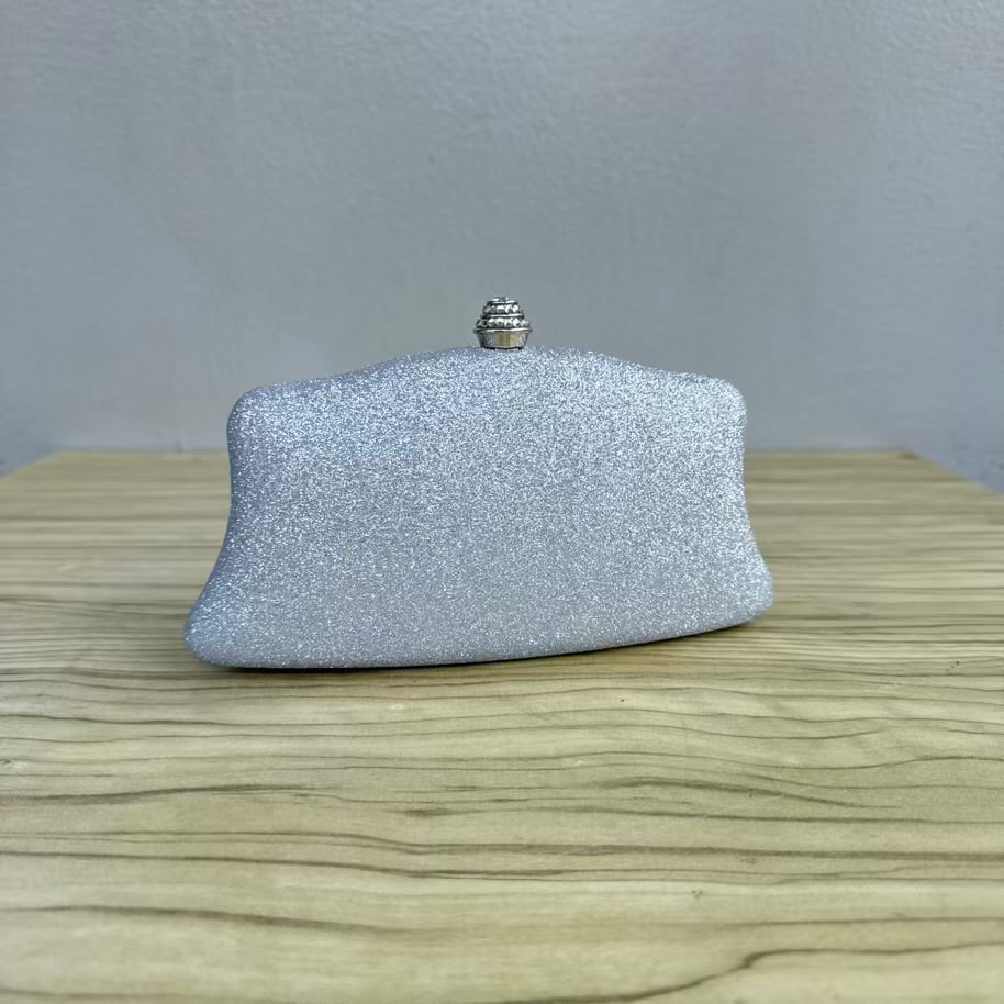 Shimmery Small Clutch Purse